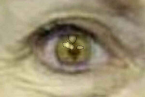 Foto eines Augen von Hillary Clinton aus der Nahaufnahme