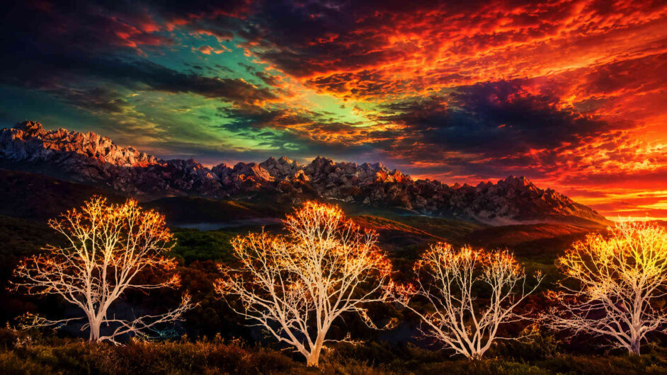 Vor einer dramatischen Gebirgskette stehen kahle Bäume, deren Äste wie glühende Lichtadern leuchten. Der Himmel zeigt intensive Rot-, Orange-, Türkis- und Grüntöne, die sich in den Wolken vermischen. Die Landschaft liegt bereits im Schatten, während die Bäume wie lebende Lichtquellen erscheinen. Das Bild verbindet Natur mit einer beinahe elektrischen Atmosphäre.