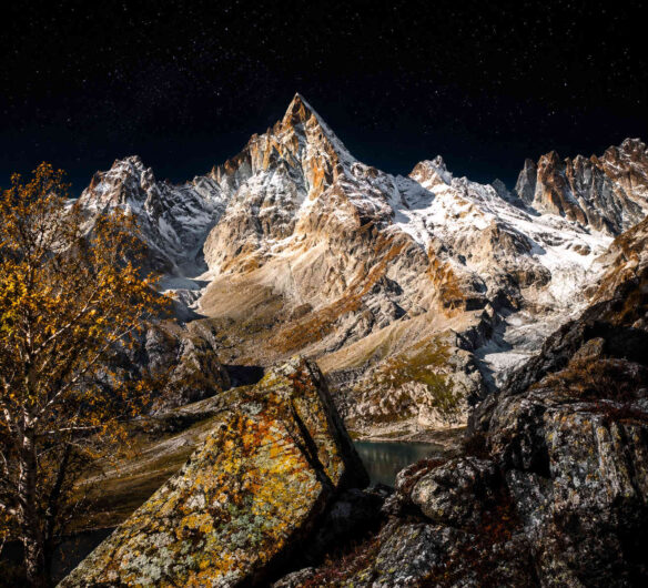 Scharfkantige schneebedeckte Berge ragen unter einem klaren Sternenhimmel auf. Im Vordergrund liegen Felsen mit gelblichen Flechten und ein einzelner Baum mit herbstlichen Blättern. Die nächtliche Beleuchtung hebt die Struktur des Gebirges deutlich hervor. Das Bild vermittelt Ruhe, Weite und alpine Erhabenheit.